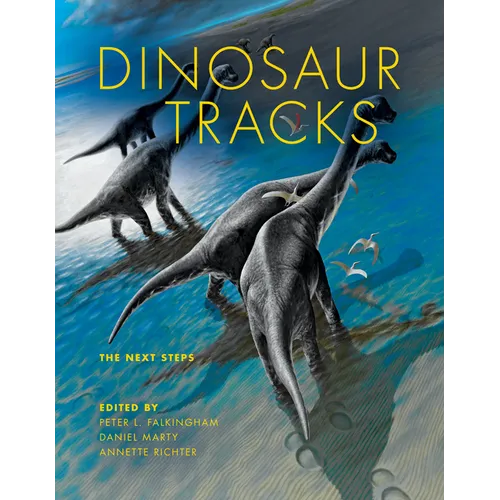Dinosaur Tracks: The Next Steps - Hardcover
