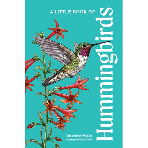 A Little Book of Hummingbirds: A Bird Identification Book - Hardcover