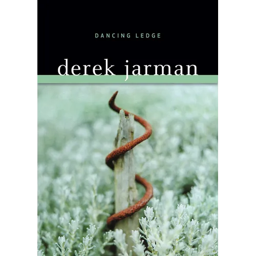 Dancing Ledge - Paperback