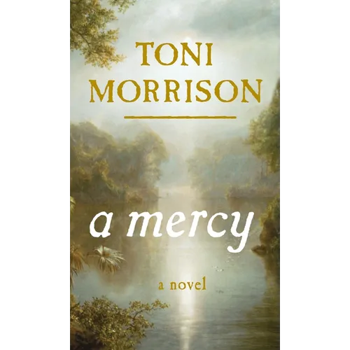 A Mercy - Hardcover