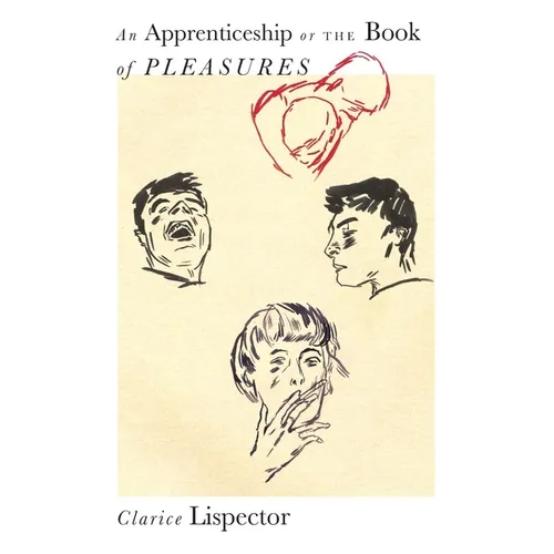 An Apprenticeship or the Book of Pleasures - Paperback