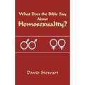 What Does the Bible Say About Homosexuality? - Paperback