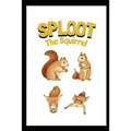 SPLOOT The Squirrel - Paperback
