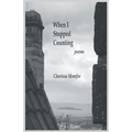When I Stopped Counting - Paperback