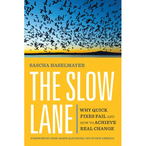 The Slow Lane: Why Quick Fixes Fail and How to Achieve Real Change - Paperback
