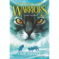 Lost Stars - Paperback