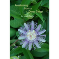 Awakening From A Deep Sleep - Paperback