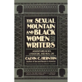 The Sexual Mountain and Black Women Writers: Adventures in Sex, Literature, and Real Life - Paperback