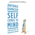 Self Comes to Mind: Constructing the Conscious Brain - Paperback