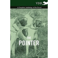 The Pointer - A Complete Anthology of the Breed - Paperback