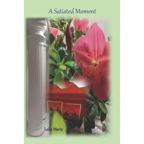 A Satiated Moment: The Journey Emerald's Travels - Paperback