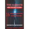The Sabbath: What You Need To Know: 16 Propositions Against Mandatory and Salvational Sabbath-Keeping - Paperback