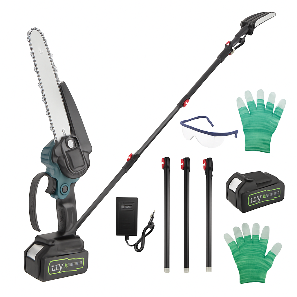 2-In-1 Cordless Pole Saw & Mini Chainsaw