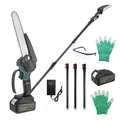 2-In-1 Cordless Pole Saw & Mini Chainsaw