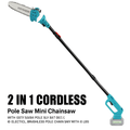 Cordless Pole Saw and Mini Chainsaw with Extension