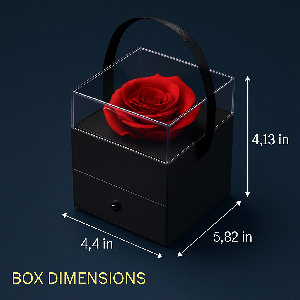 Preserved Red Rose with Heart Necklace Gift Set