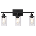 Wall Sconce Lighting with Clear Glass Shade