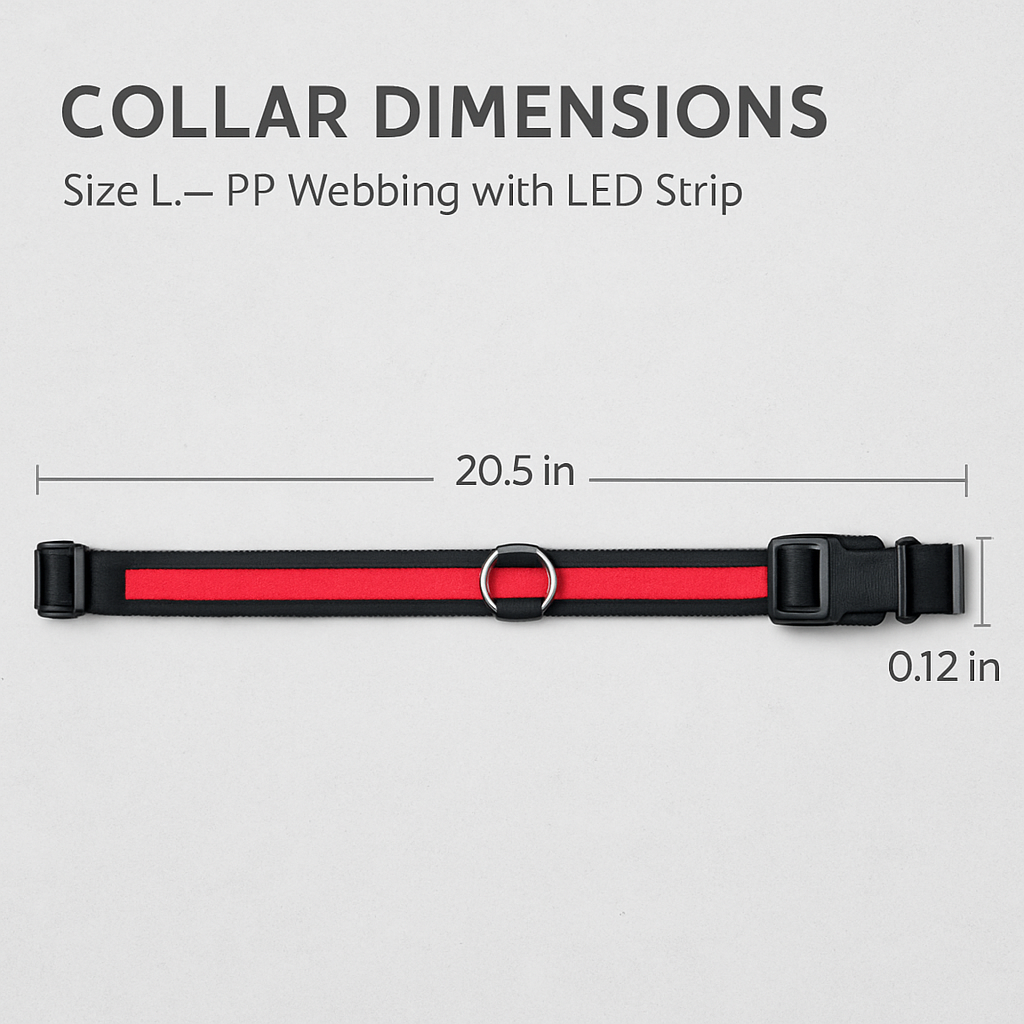 LED Dog Collar: Safety Light for Night Walks