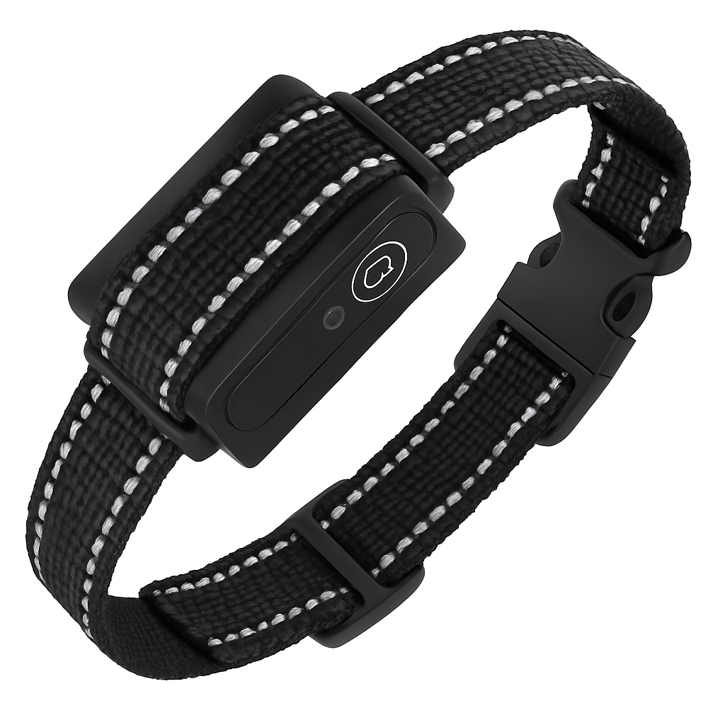 Dog Training Collar Receiver - Safe, Gentle Training Aid