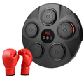 Boxing Wall Target Pad with Gloves for Home Training