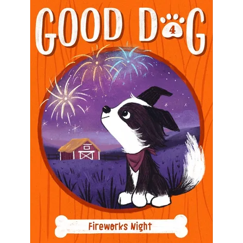Fireworks Night - Paperback