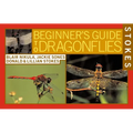 Stokes Beginner's Guide to Dragonflies - Paperback