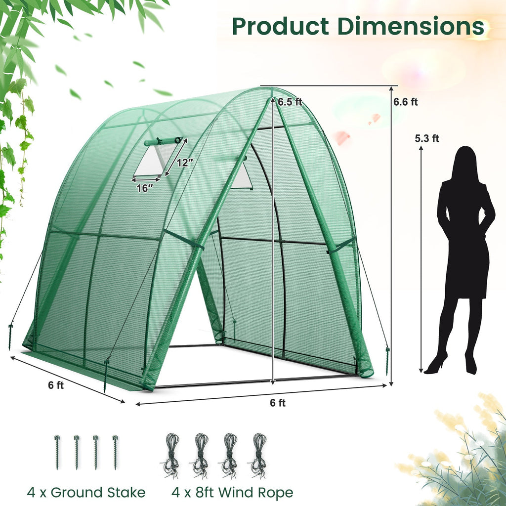 6 x 6 x 6.6 FT Outdoor Wall-in Tunnel Greenhouse