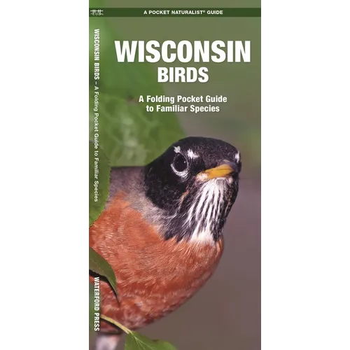 Wisconsin Birds: A Folding Pocket Guide to Familiar Species - Paperback