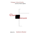 Class Issues: Pedagogy, Cultural Studies, and the Public Sphere - Paperback
