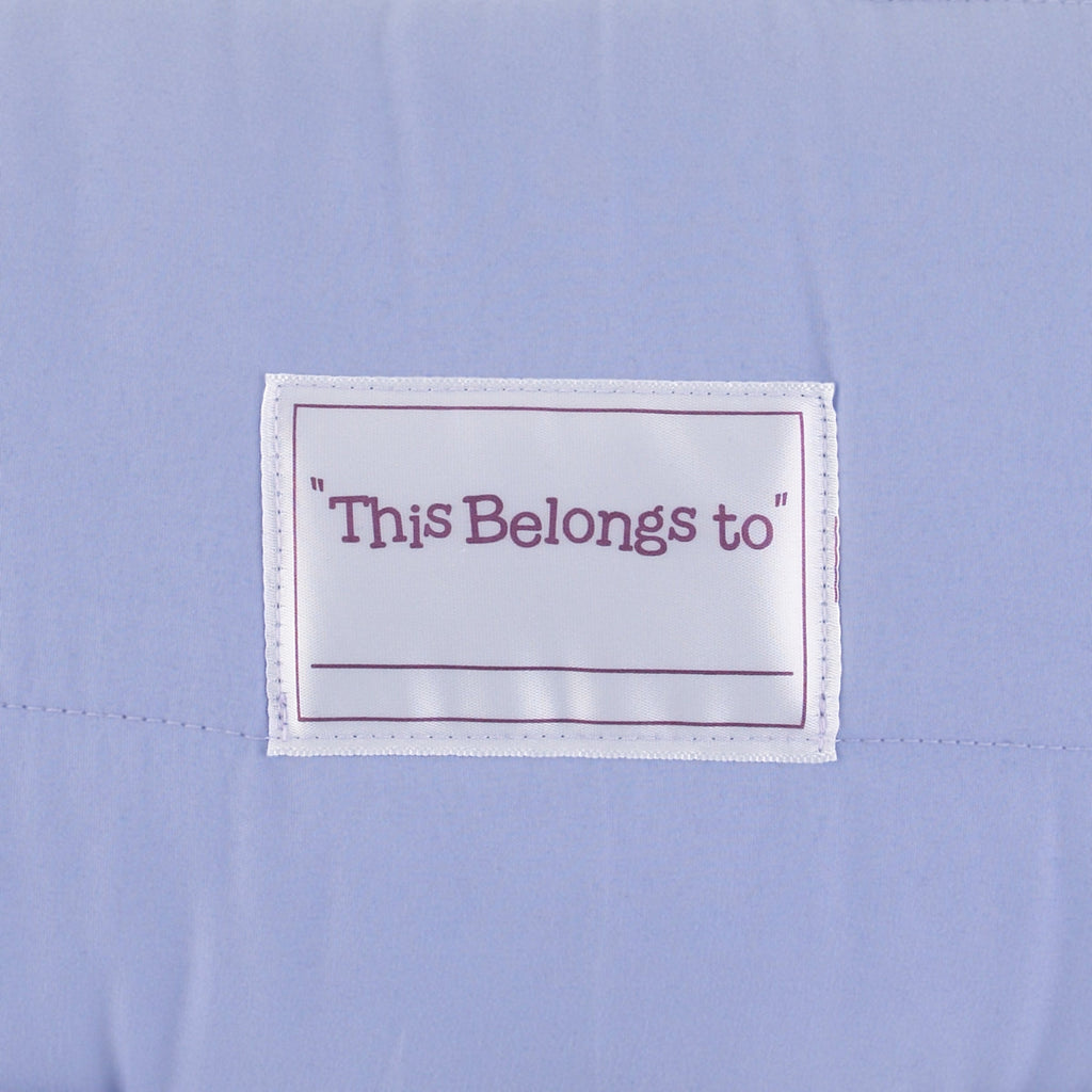Disney Frozen II Traveling North Lavender, Light Blue and Plum Toddler Nap Mat