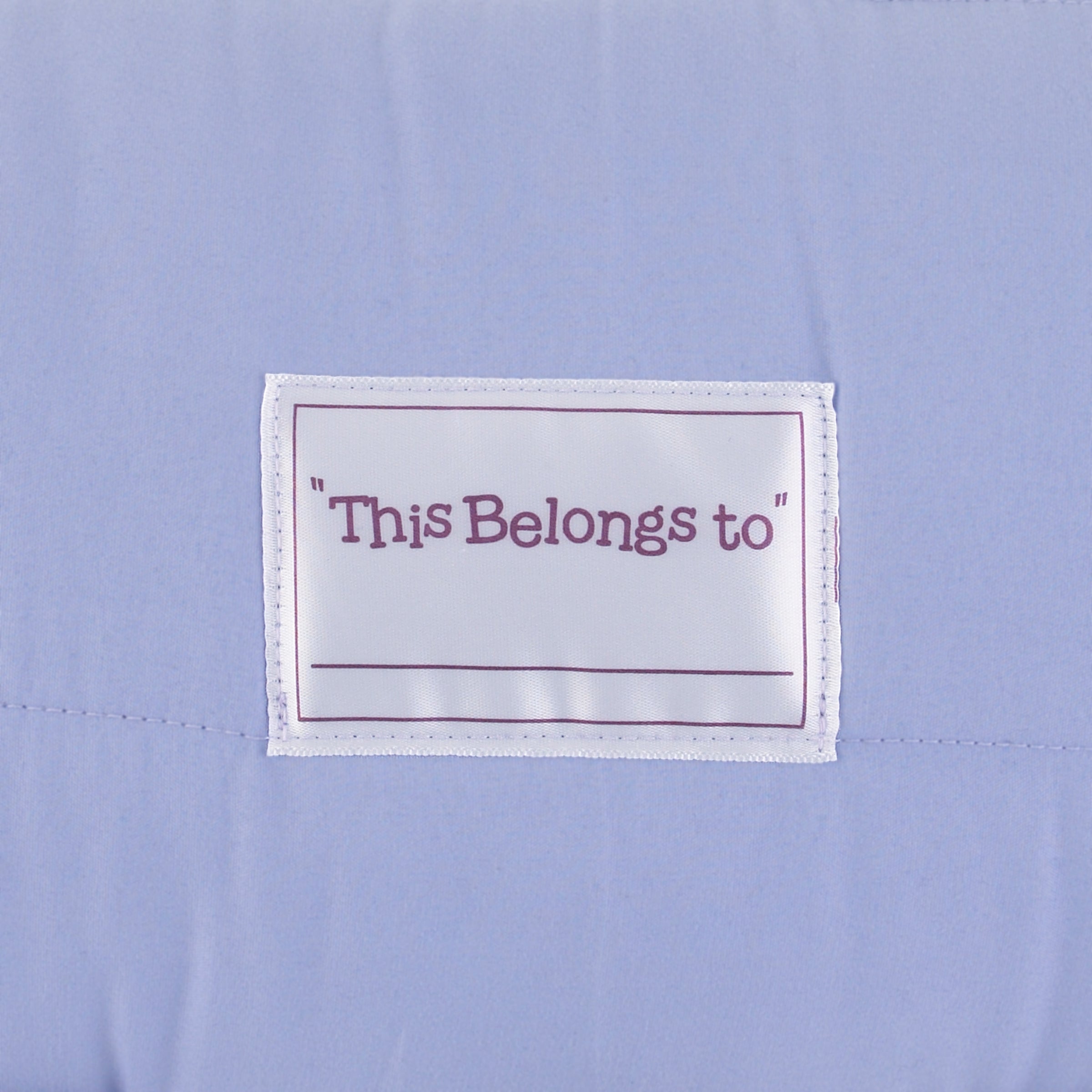 Disney Frozen II Traveling North Lavender, Light Blue and Plum Toddler Nap Mat