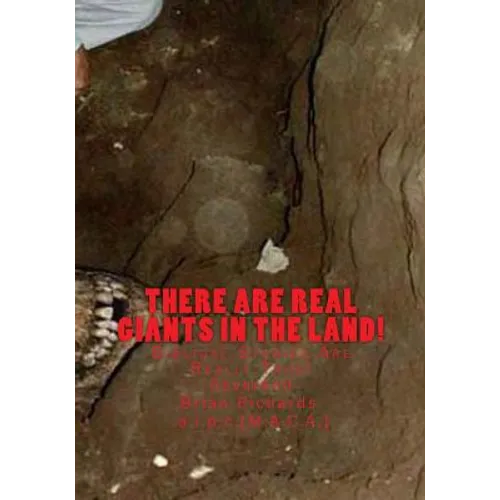 There Are Real Giants In The Land.: Biblical Stories Are Really True! - Paperback