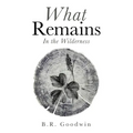 What Remains: In the Wilderness - Paperback