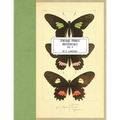 Vintage Prints: Butterflies: Vol. 4 - Paperback