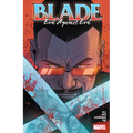 Blade Vol. 2: Evil Against Evil - Paperback