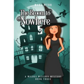 The Broom to Nowhere - Paperback