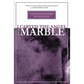 I Carved the Angel From the Marble - Paperback