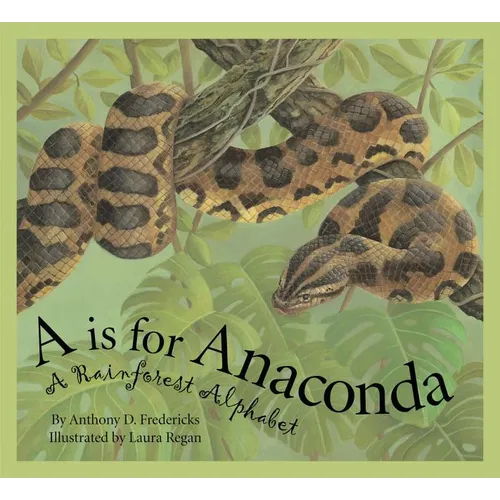 A is for Anaconda: A Rainforest Alphabet - Hardcover