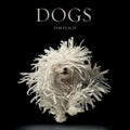 Dogs: Photographs - Hardcover
