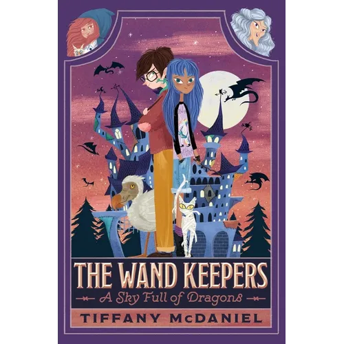 A Sky Full of Dragons - Hardcover