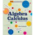 Algebra to Calculus: Unlocking Math's Amazing Power - Paperback
