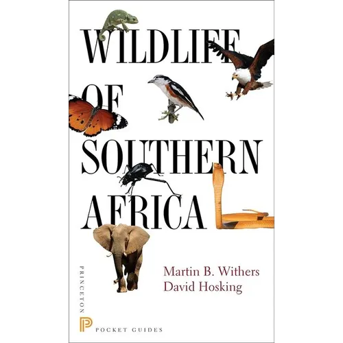 Wildlife of Southern Africa - Paperback