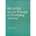 Brahms and the Principle of Developing Variation: Volume 2 - Paperback