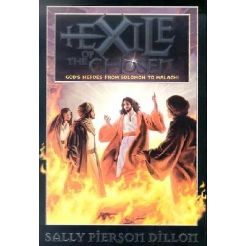 Exile of the Chosen: God's Heroes from Solomon to Malachi - Paperback