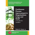 Continuous Process Improvement in Organizations Large and Small: A Guide for Leaders - Paperback