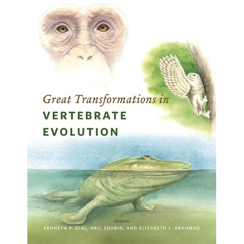Great Transformations in Vertebrate Evolution - Paperback