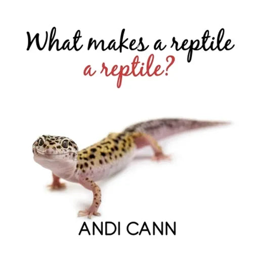 What Makes a Reptile a Reptile - Paperback
