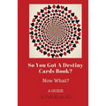 So You Got a Destiny Cards Book: A Guide - Paperback