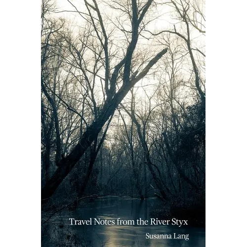 Travel Notes from the River Styx - Paperback
