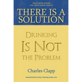 There is a Solution: Drinking Is Not the Problem - Paperback